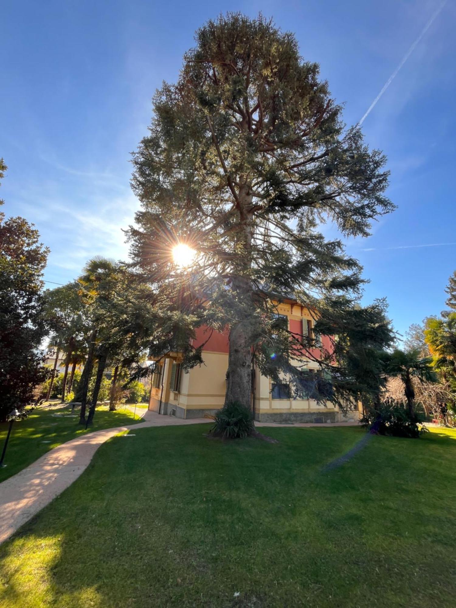 Villa Del Castanar Maccagno Eksteriør billede